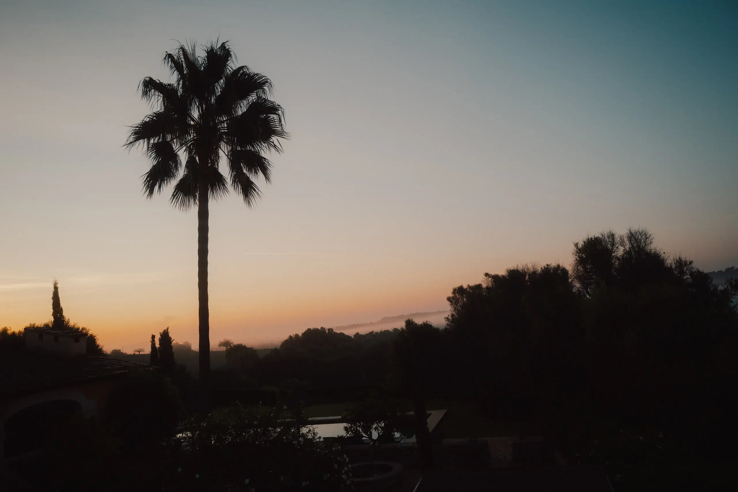Documentary wedding photography by Cori Kasus